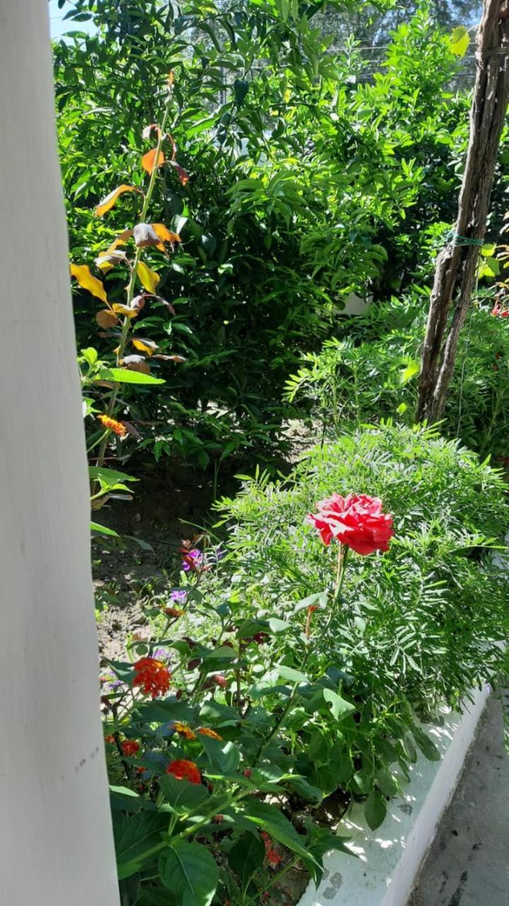 Guest House Emi Berat Exterior foto