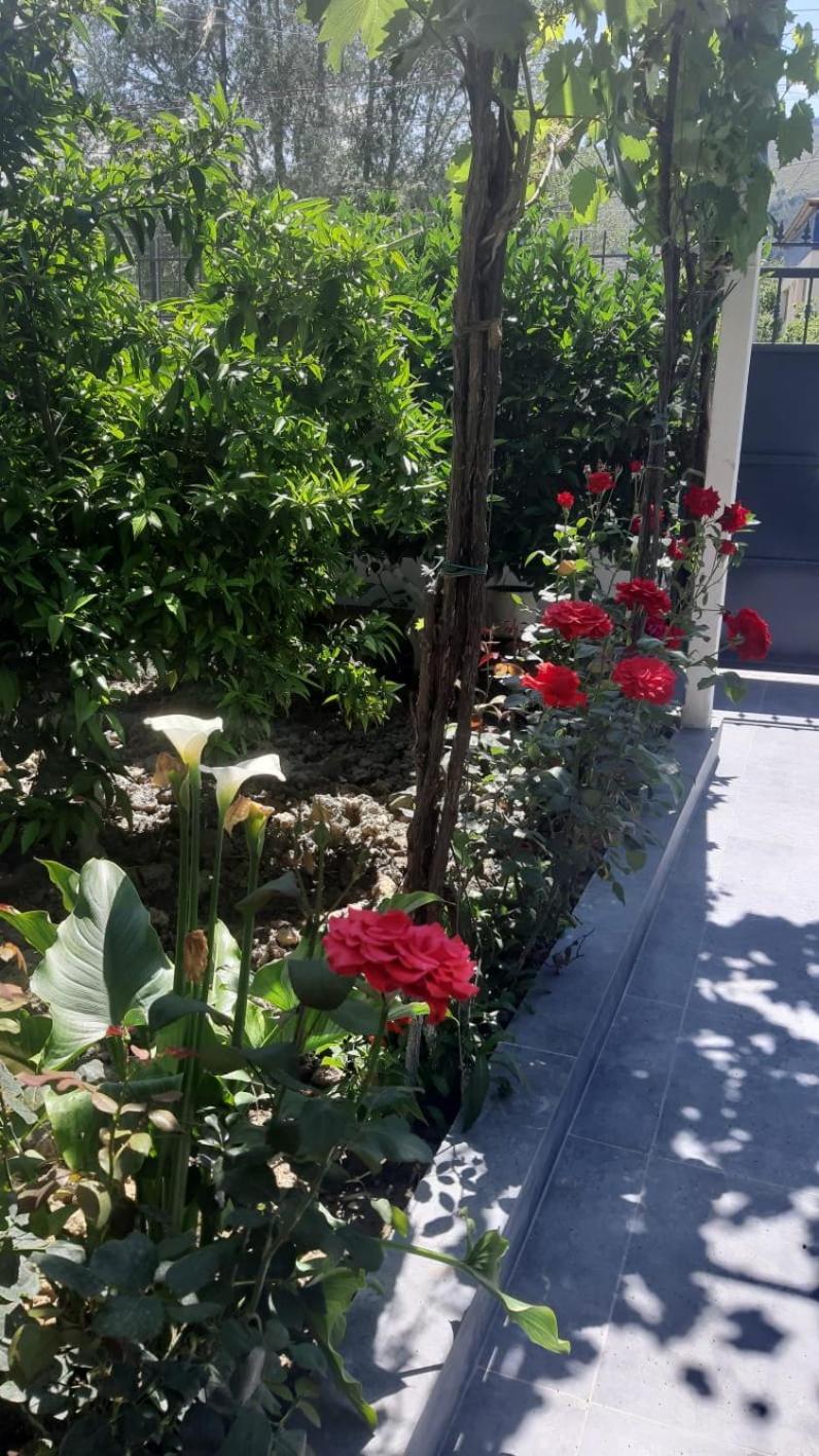 Guest House Emi Berat Exterior foto
